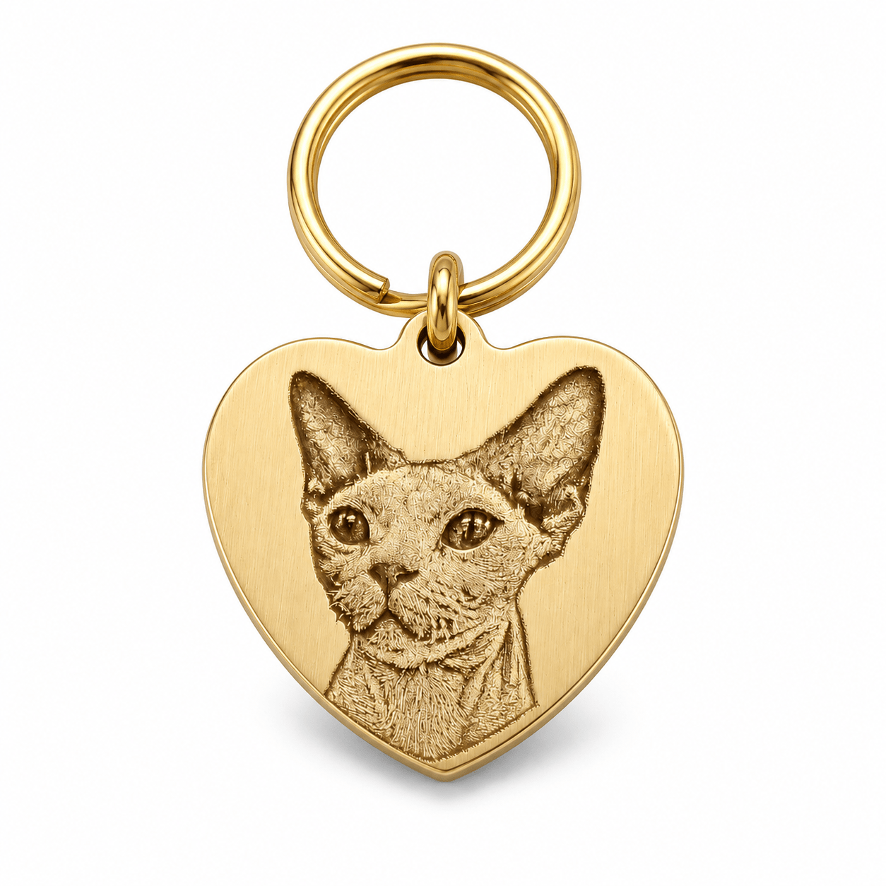 Personalized Brass Heart Pet Portrait Tag - The Purrist