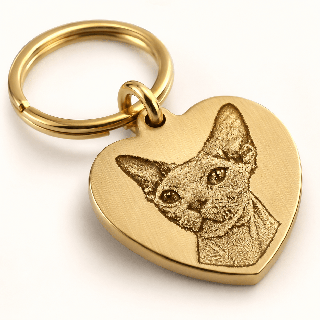 Personalized Brass Heart Pet Portrait Tag - The Purrist